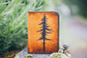 Lodgepole Pine Tree Bifold Wallet